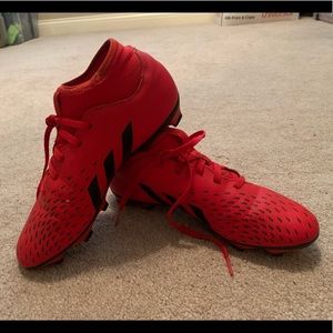 Adidas Predator cleats